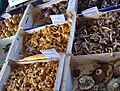 Mushrooms, market at Place Morgan