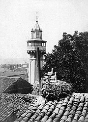 Sidi Lakhdar Mosque Minaret in 1900