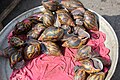 Snails, Makola Market, Accra, Ghana