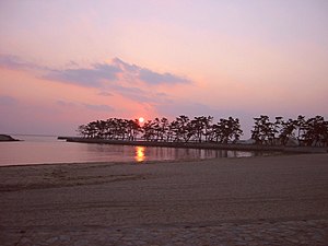 Pinus and Takasago Seaside park