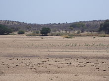Looking across the Shashe River near Tuli village, Zimbabwe
