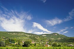 Vineyards in the Valpolicella region