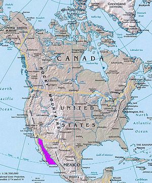 Karte Nordamerikas, Golf von Kalifornien violett markiert