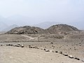 The Norte Chico civilization Archaeological site at Caral