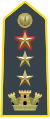 Lieutenant-Colonel, temporary Colonel (Senior Lieutenant Colonel)