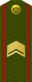 Старшына Staršyna (Belarusian Ground Forces)[3]