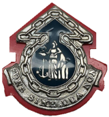 SACC Logistic unit beret badge