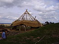 The Iron Age house under construction, July 2006