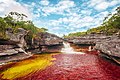 Warm and wet climate in Caño Cristales
