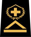 sergent-chef (Swiss Army)[9]