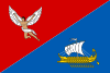 Flag of Novofedorivka