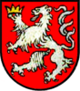 Kingdom of Bohemia. The white lion bears in his right paw a simple crown, the emblem of the office of Arch Cupbearer. Restored directly from Medieval, hand-drawn armorials.