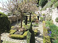 Mediterranean garden in Alpes-Maritimes, France