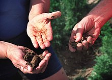 Image of three hands working soil samples according to the texture-by-feel method