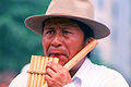 Image 16An Indigenous man playing a panpipe, antara, or siku (from Indigenous peoples of the Americas)