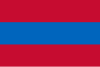 Flag of Visé