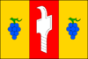 Flag of Vlčnov