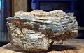 Antigorite from Clay Geo, Unst, Shetland Islands, Scotland, UK