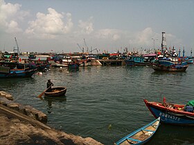 Fishing boats anchor at the port in Quy Nhon.