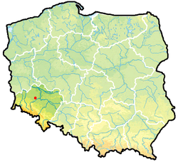 Location of Gmina Chojnów