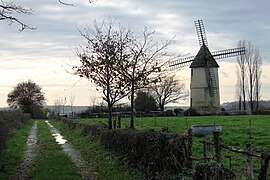 The windmill in Saint-Cyr-des-Gâts
