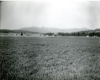 View from the southwest in the 1920s