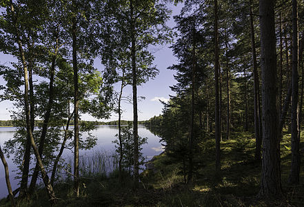 Storträsk is the largest of the lakes on the island