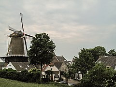Wijk bij Duurstede, windmill (molen Rijn en Lek) in the street