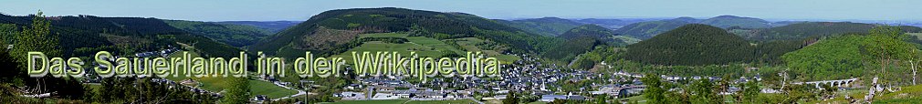 Das Sauerland in der Wikipedia