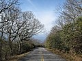 Road leading up to Brasstown Bald Summit