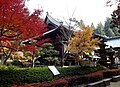 Shiromine-ji Temple