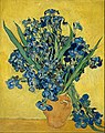 Still Life: Vase with Irises Against a Yellow Background May 1890 Van Gogh Museum, Amsterdam (F678)