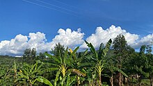 A banana platation with clouds above a green mountainous scenery in Western Uganda