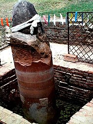 Gotihawa, possible base of the Nigali Sagar pillar