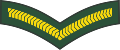 Lance corporal (Barbados Regiment)[25]