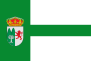 Flag of Perales del Puerto, Spain