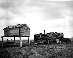 Food cache and barabara sod hut in Nushagak, 1917