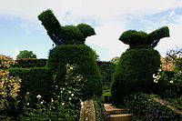 Topiary birds at Hidcote Manor Garden