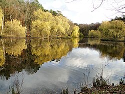 Wędkarski Pond in Głębokie-Pilchowo