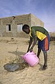 Image 47Young man waters a newly planted tree in Mali (2010) (from Agroforestry)