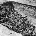 Image 7The bodies of the dead lie awaiting burial in a mass grave at the camp. (Bergen-Belsen concentration camp)