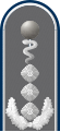 Oberstveterinär (Army Senior Vet, service uniform epaulette)