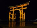 The torii at night