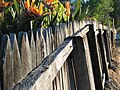Western Australian jarrah picket fence