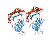 1m05: HLA B8 in complex with an Epstein Barr Virus determinant