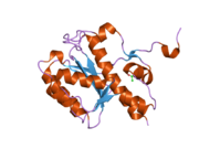 2fbt: WRN exonuclease