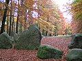 Großsteingrab Visbeker Bräutigam bei Ahlhorn