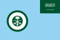 Ensign of the Royal Saudi Air Force (Roundel) (Ratio: 2:3)