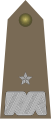 Generał brygady (Heer)