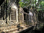 Temple ruins in a forest